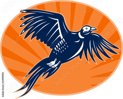 pheasant bird flying