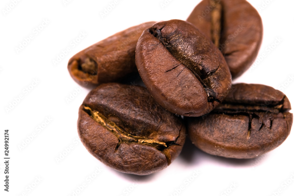 macro shot of coffe bens, isolated on white macro shot of coffe bens, isolated on white