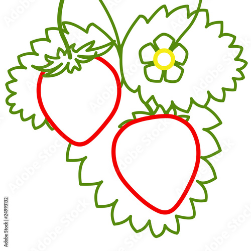 Fraises en contour