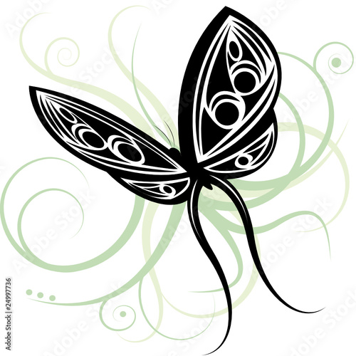 Schmetterling
