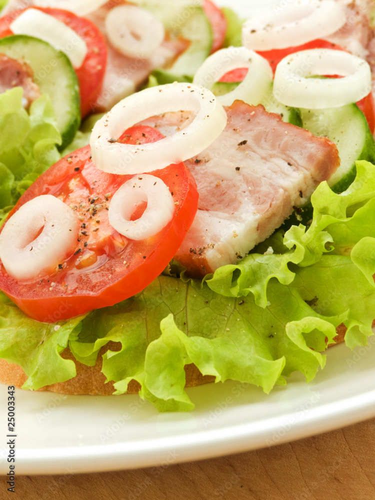 Sandwich Sandwich