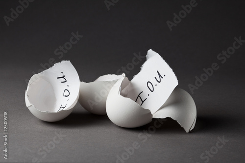 Borrowing from the Nest Egg