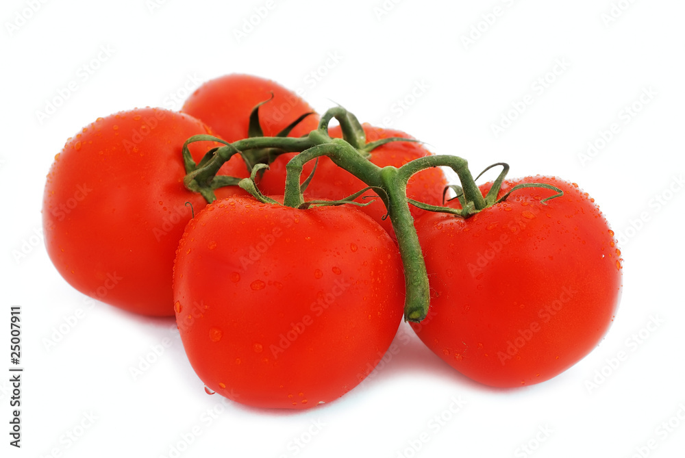 bunch of tomatoes bunch of tomatoes