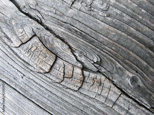 Fotografija Holzstruktur - wood structure