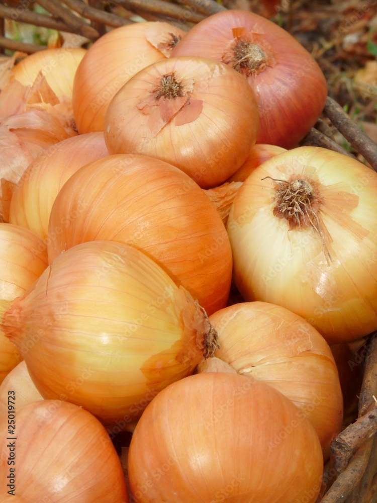 A basket of onions.