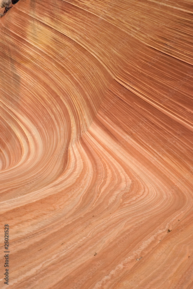 The Wave, Paria canyon The Wave, Paria canyon