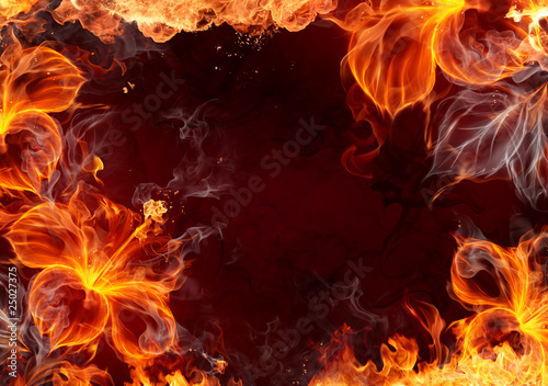 Fire frame with burning flowers