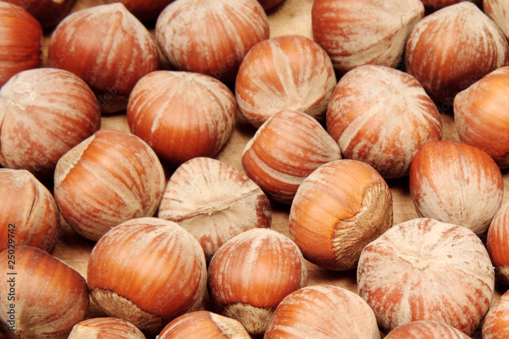 nuts nuts
