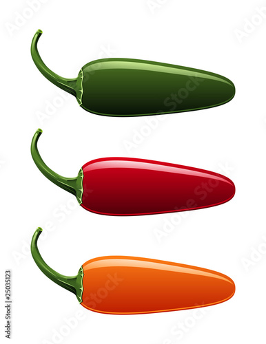 A vector of all jalapeno pepper colors