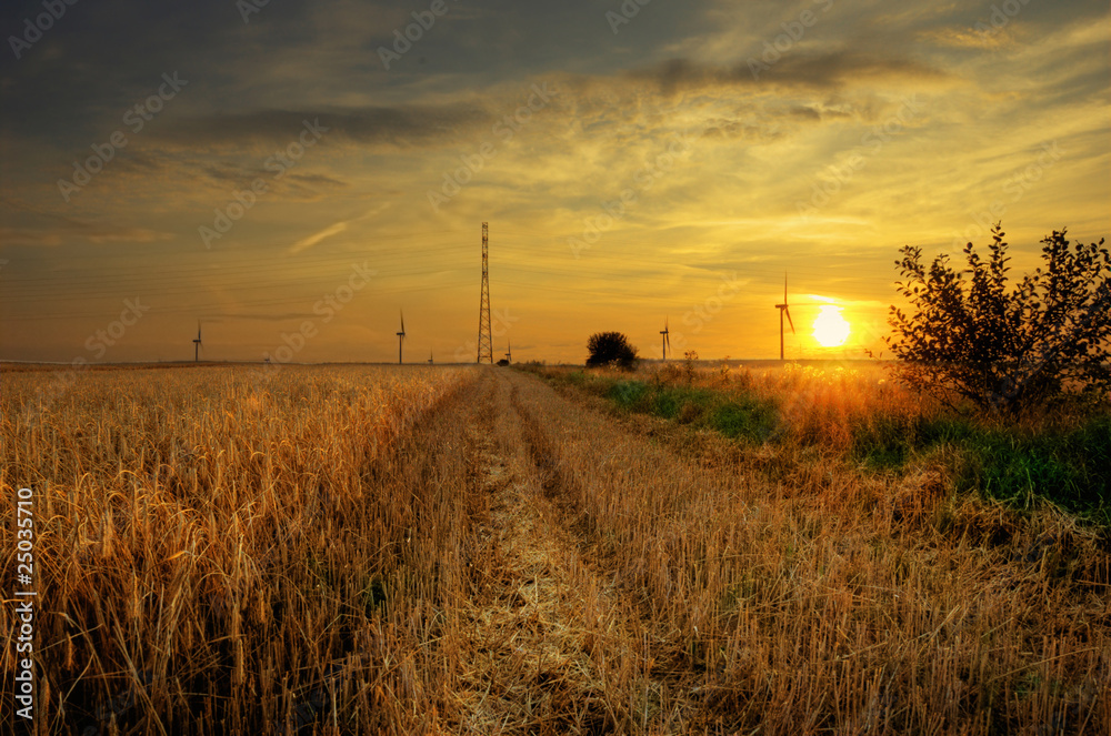 Obraz premium Rural landscape.