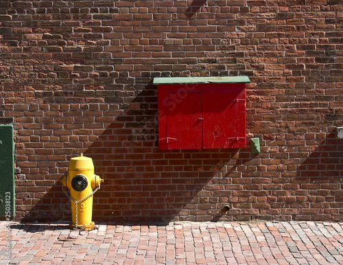 Photography Yellow Fire Hydrant