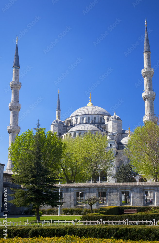 Blue mosque  / Istanbul, Turkey