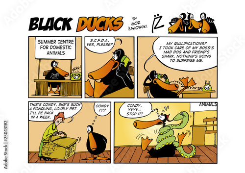 Black Ducks Comic Strip episode 51