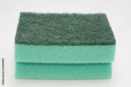 sponge