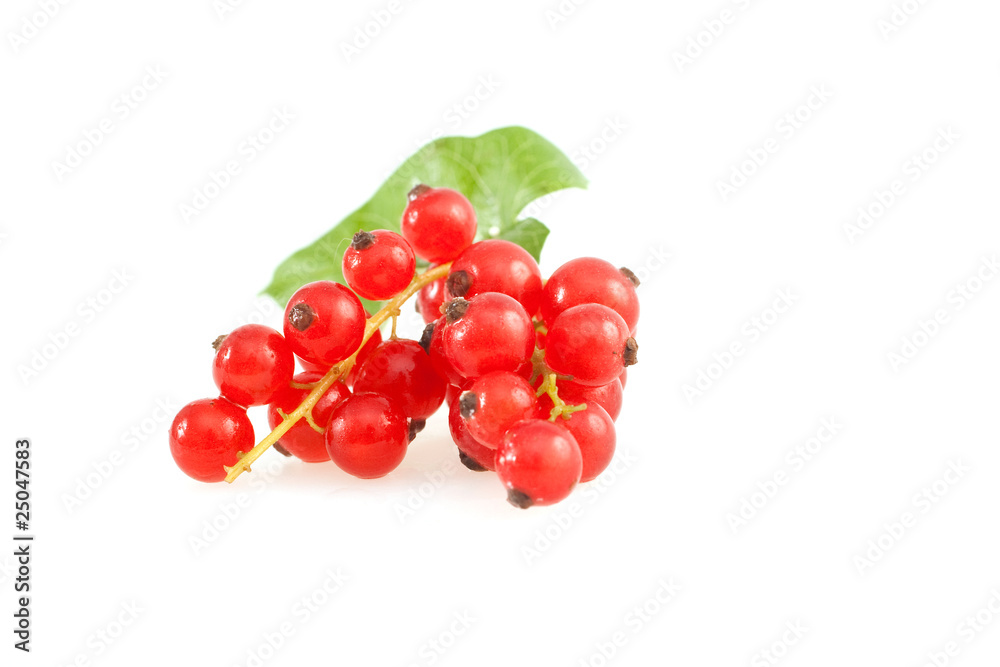 Freigestellte Johannisbeeren Freigestellte Johannisbeeren