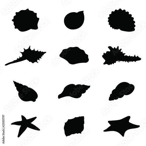 Shells and starfishes silhouettes