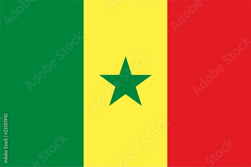 Senegal flag isolated vector illustration photo