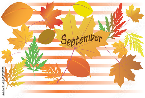vector illustration with autumn leaves - September month