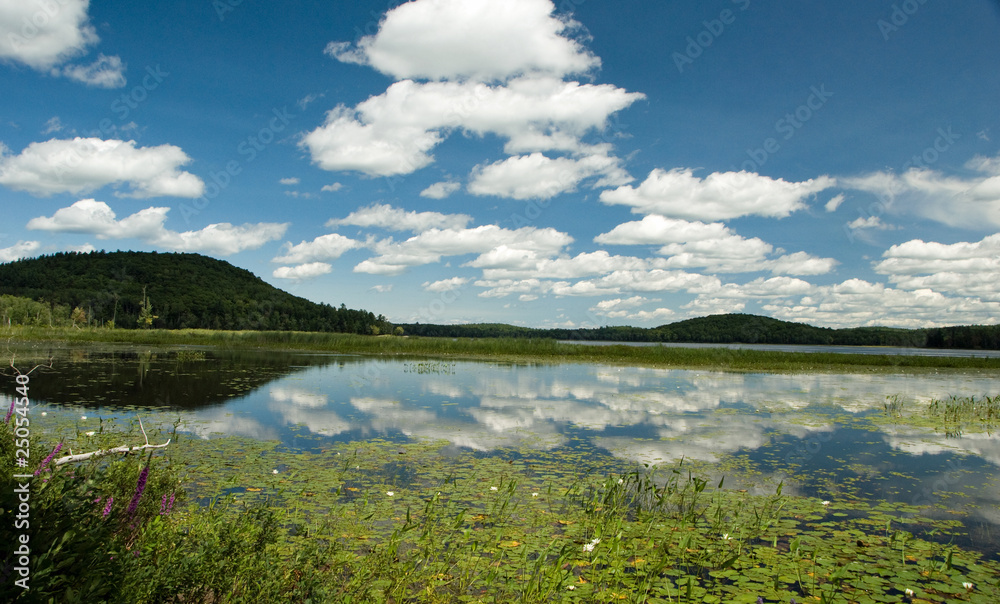 Obraz premium Landscape over lake on a perfect summer's day