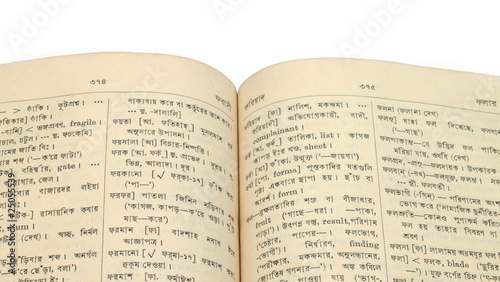 Old Bengali Dictionary photo