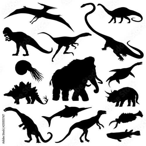 Fototapeta Naklejka Na Ścianę i Meble -  15 dinosaurier silhouetten