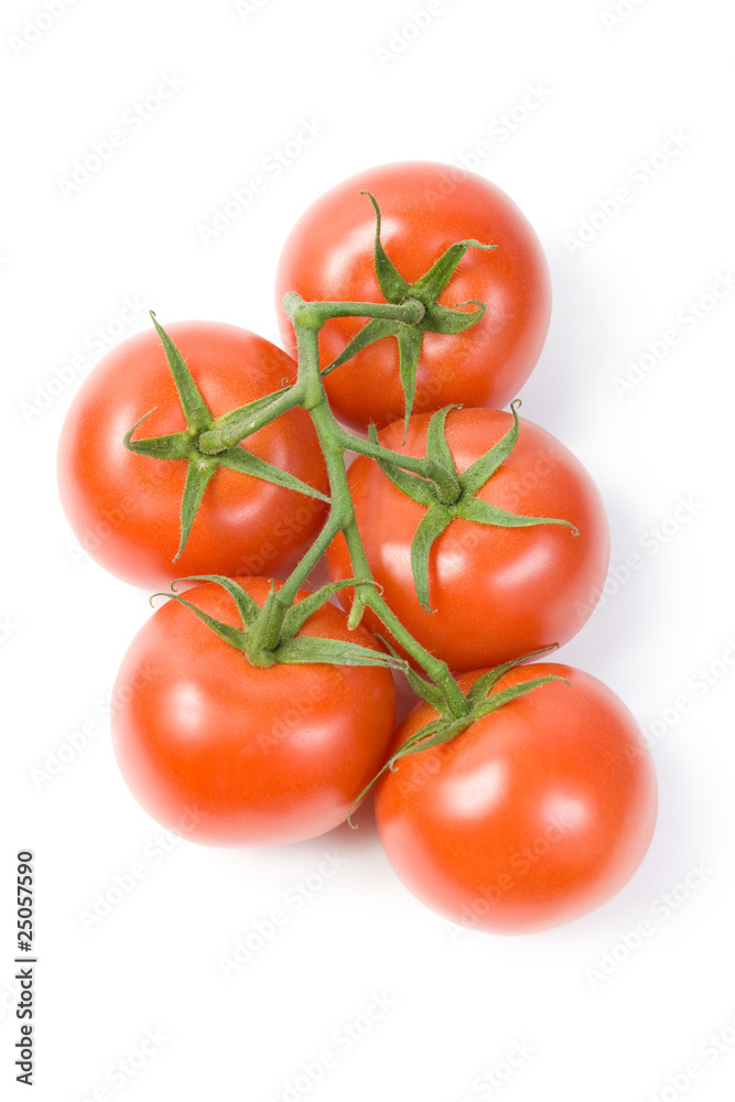 Red tomatoes on the green branch.