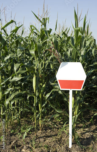 corn field with empty signboard