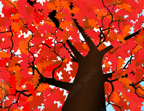Ñrown of a tree