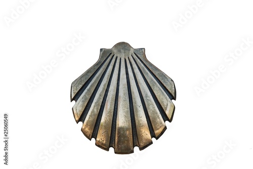 Coquille Saint Jacques