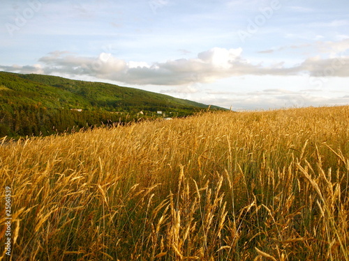 Cape Breton Nova Scotia