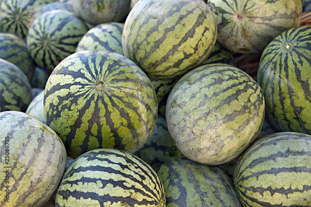 Seedless Water Melon Seedless Water Melon