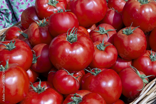 Red Ripe Tomatoes in Basket