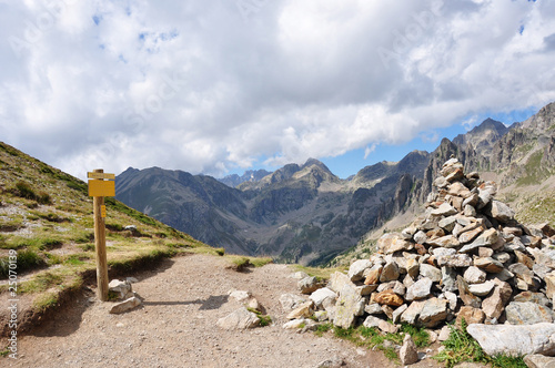 COL 2335m