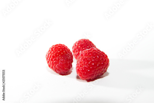 Himbeeren 04