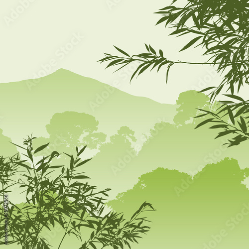 A Green Forest Landscape with Trees