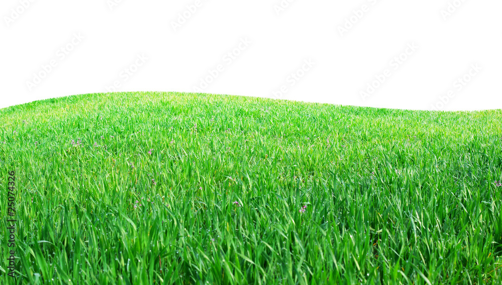 Obraz premium Isolated green hill