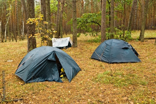 toutistic camp in a forest photo