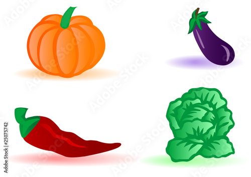 Vector illustration vegetables cabbage  an eggplant  a pumpkin a
