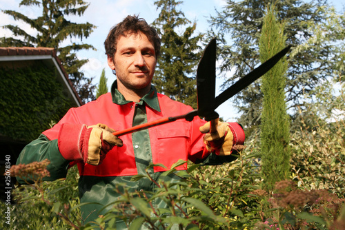 Taille d'arbuste par un paysagiste pépiniériste avec cisaille