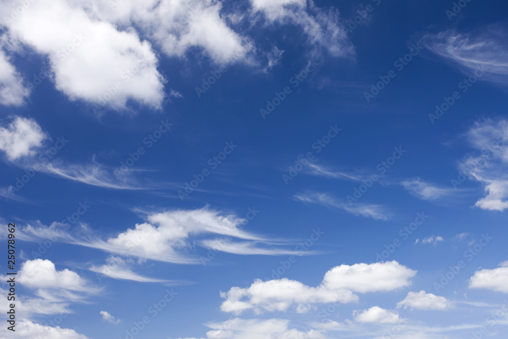 Obraz premium 夏の青空と雲