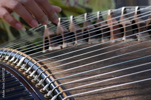 Zither photo