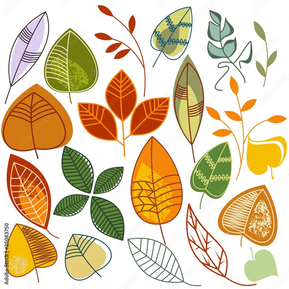Autumn leaves set Autumn leaves set
