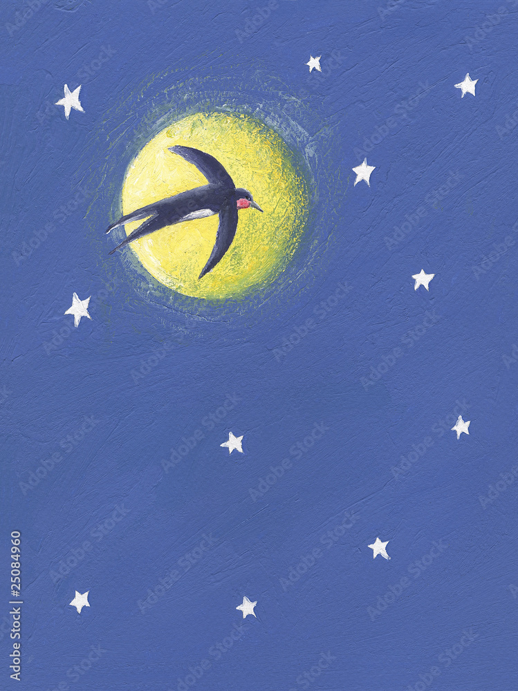 Fototapeta Jaskółka latająca w nocy