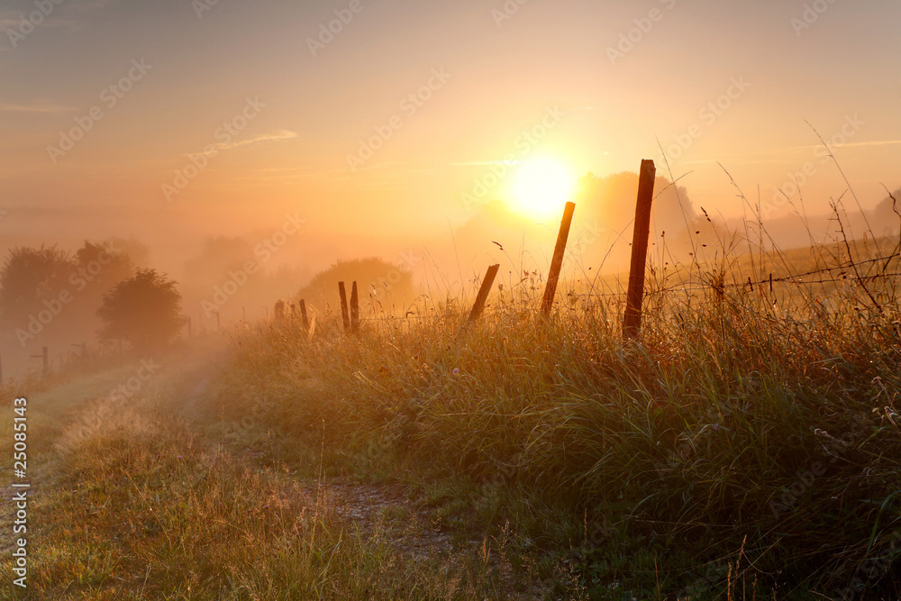 Obraz premium early morning 3