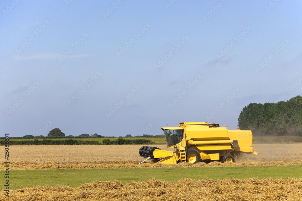 Naklejka premium combine harvester