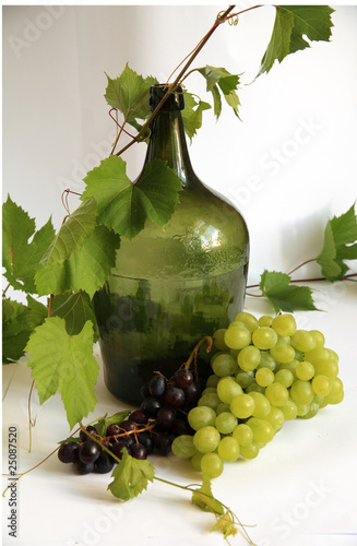 фотографія grape and demijohn