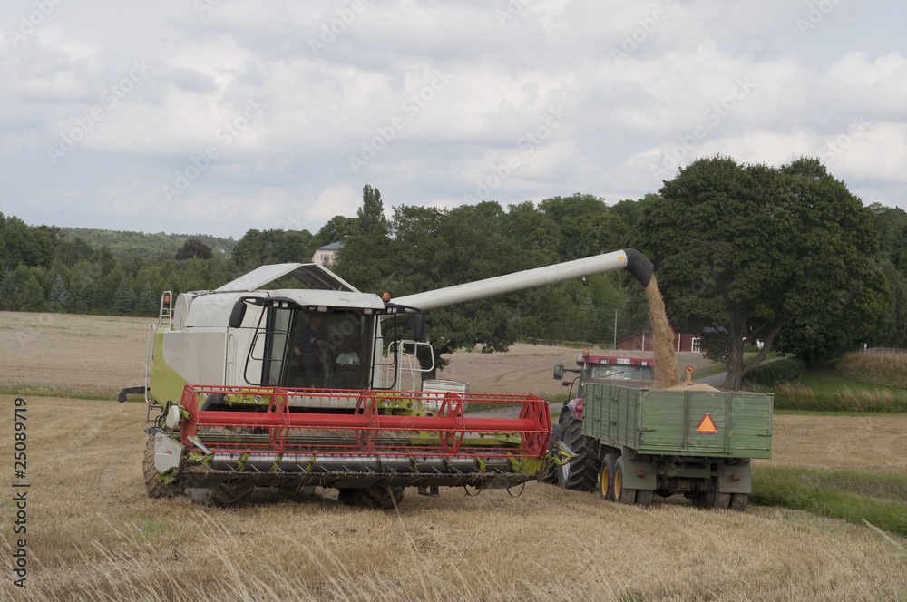 Harvest Harvest