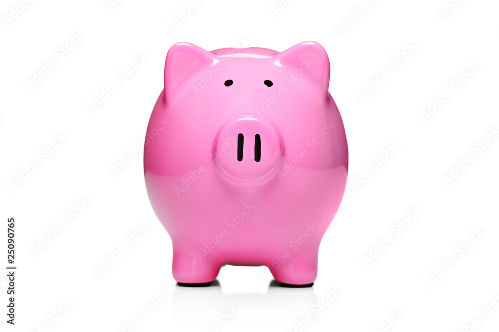 Piggy bank style money box isolated on white background
