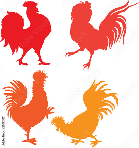 roosters vector