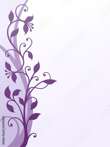 Violet flowers